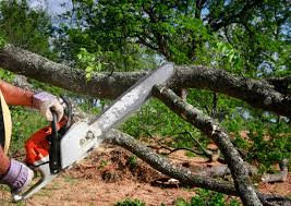 How Our Tree Care Process Works  in  Sallisaw, OK